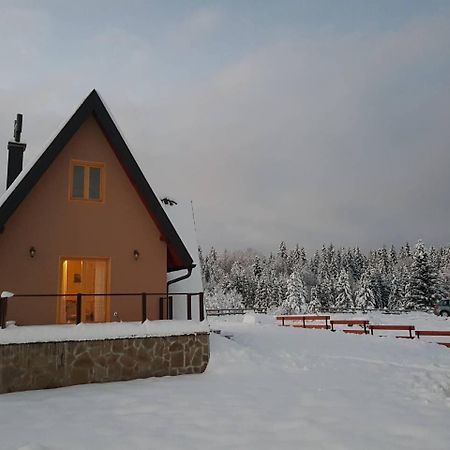 فيلا Mountain House Popovic Tara باغينا باستا المظهر الخارجي الصورة