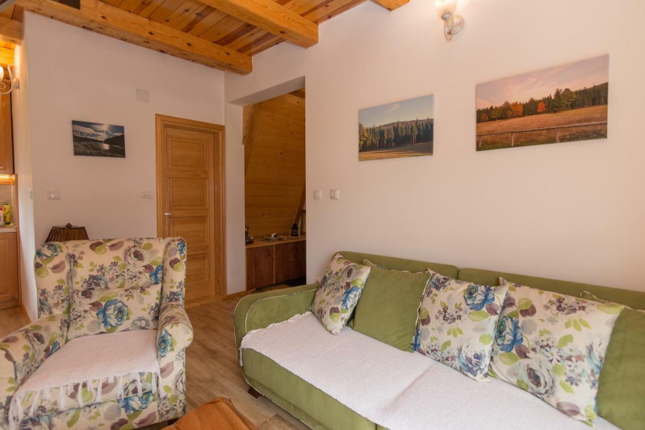 فيلا Mountain House Popovic Tara باغينا باستا المظهر الخارجي الصورة